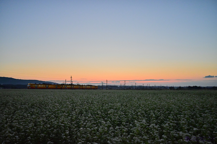 お写ん歩: NIKKOR Z 24-50mm f/4-6.3アーカイブ